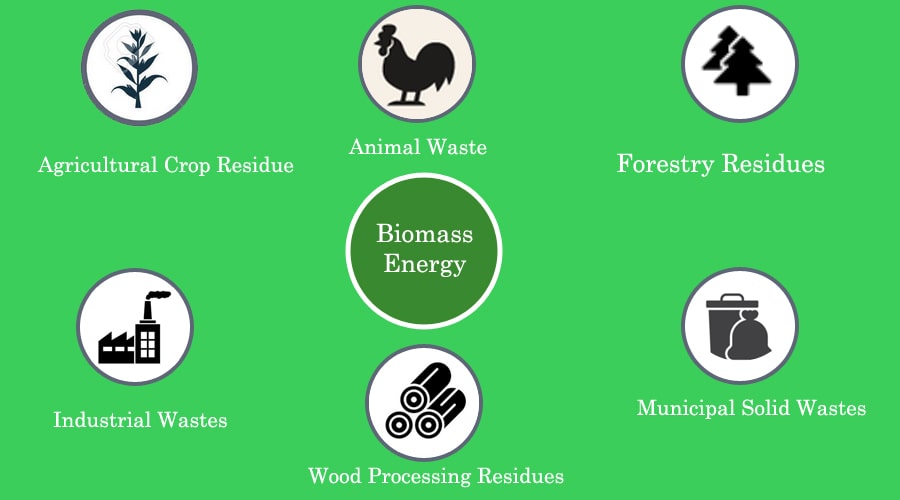 Everything You Need to Know about [Biomass Energy] | Renewable Energy Origin